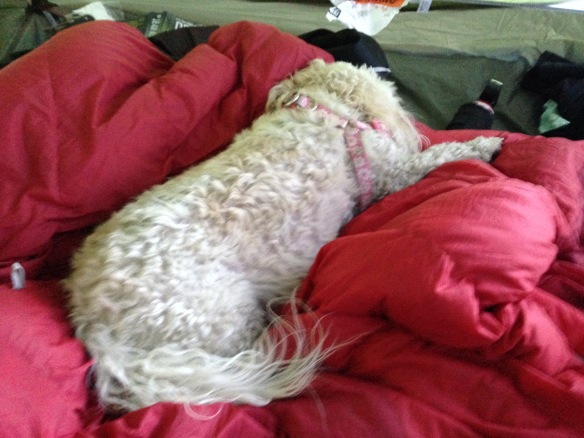Lucy sleepingbag